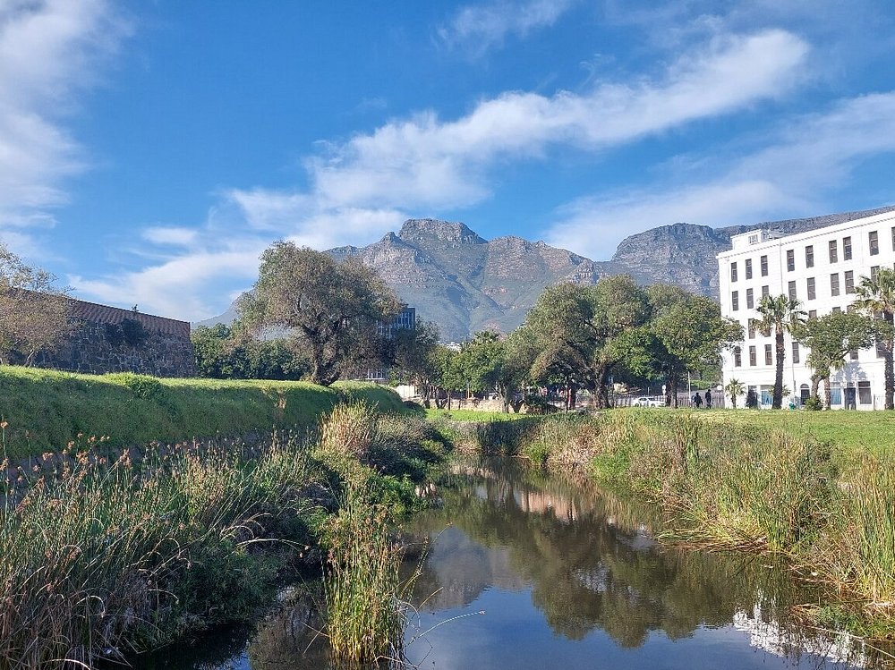 Cape Town City Private Tour - Image 36