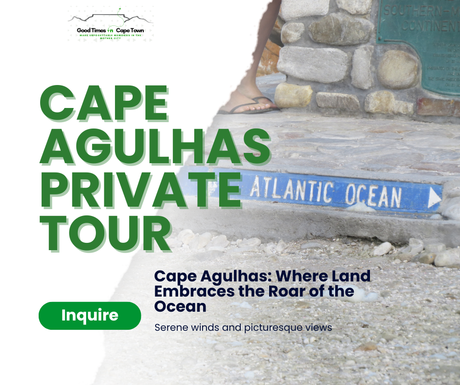 🇿🇦 Cape Agulhas Private Tour - Image 37
