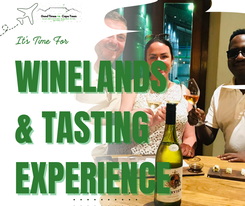 🍷 Cape Winelands Private Tour